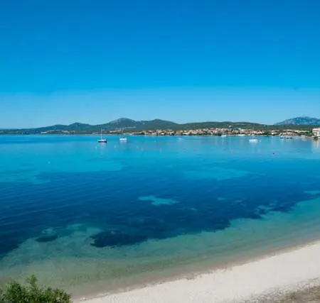 Delfino Golfo Aranci