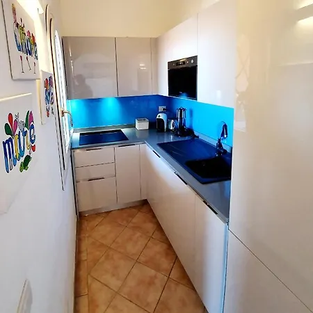 Delfino Golfo Aranci