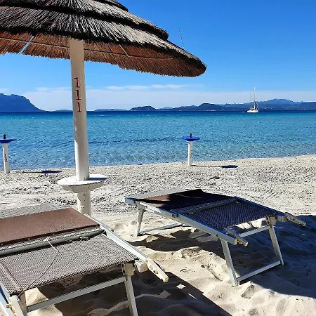 Delfino * Гольфо-Аранчи