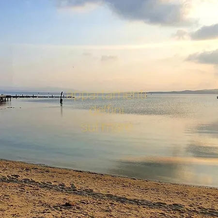 Delfino * Golfo Aranci