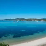 Delfino Golfo Aranci