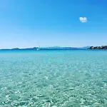 Delfino Golfo Aranci