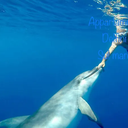 Delfino Appartamento *